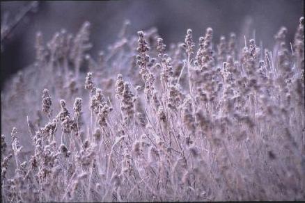 �͑����@(25.9KB)