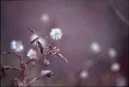 ����@(12.5KB)